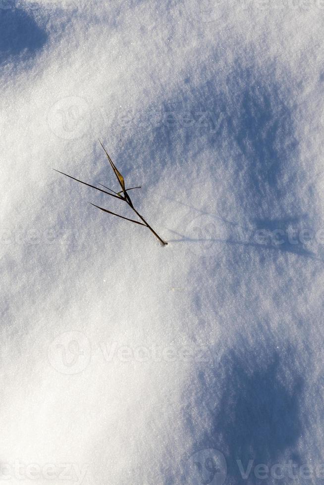 ventisqueros después de nevadas en invierno foto