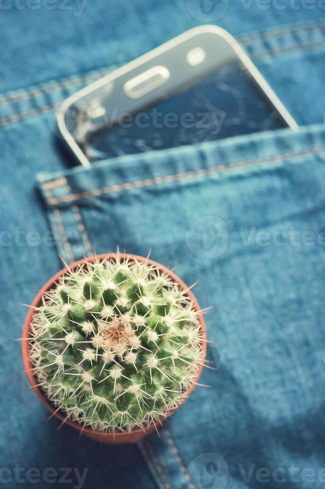 Minimal concept layout a cactus on blurred jeans trousers. photo