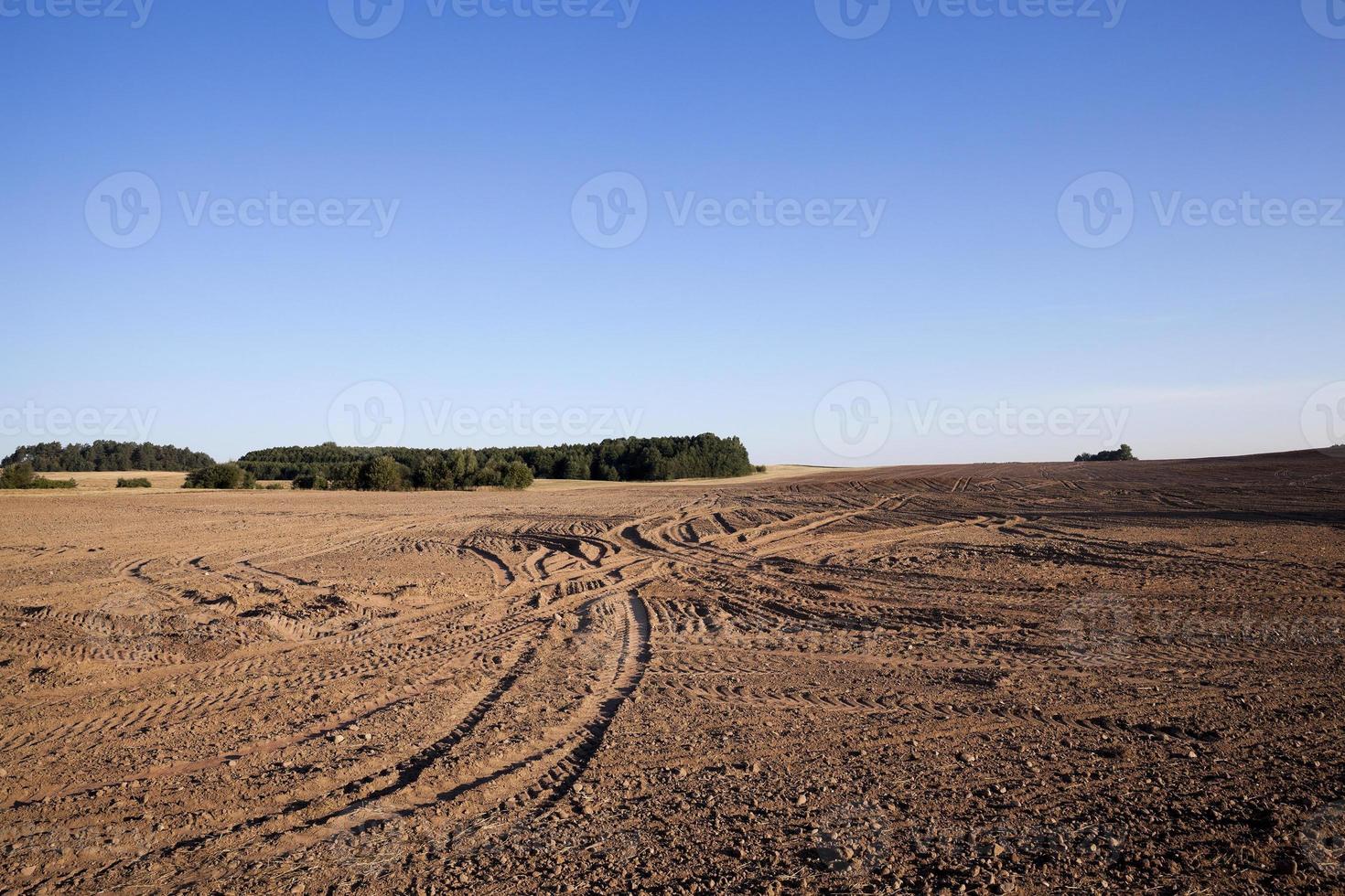 plowed agricultural field photo