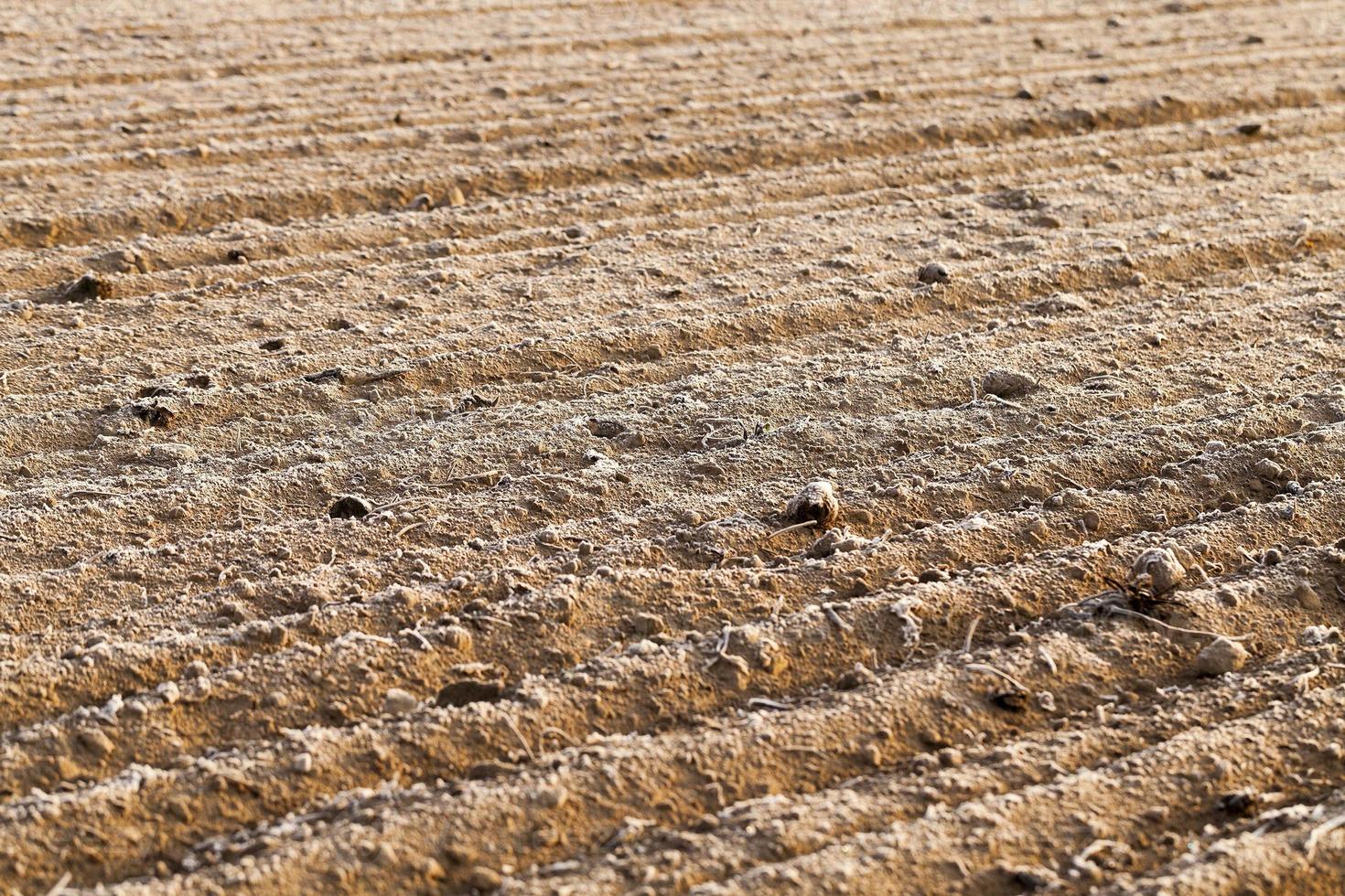 plowed land, frost photo