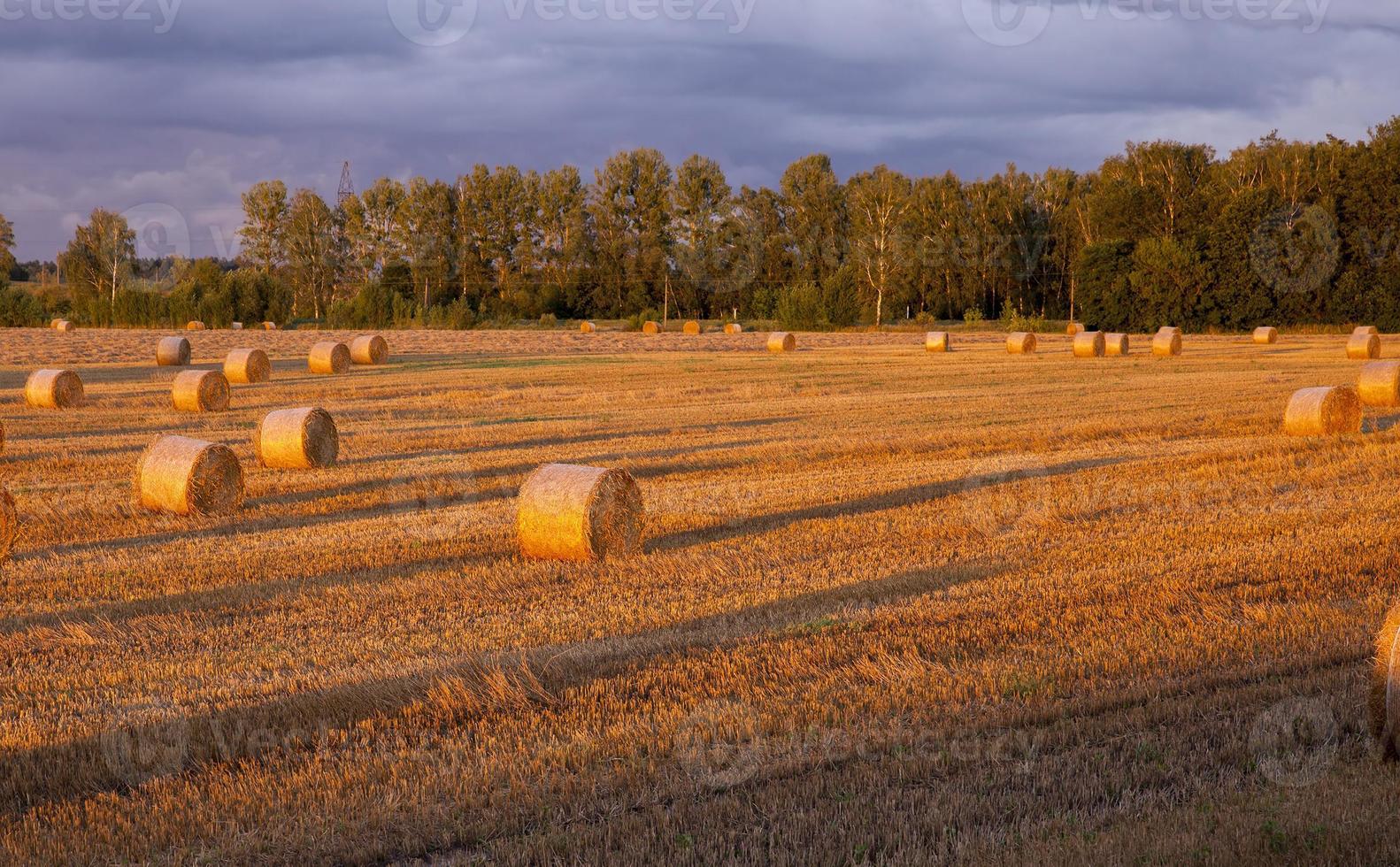 puesta de sol en el campo foto