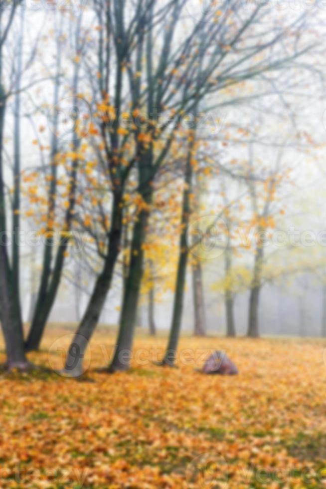 Autumn Park, overcast photo