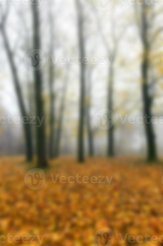 Autumn Park, overcast photo