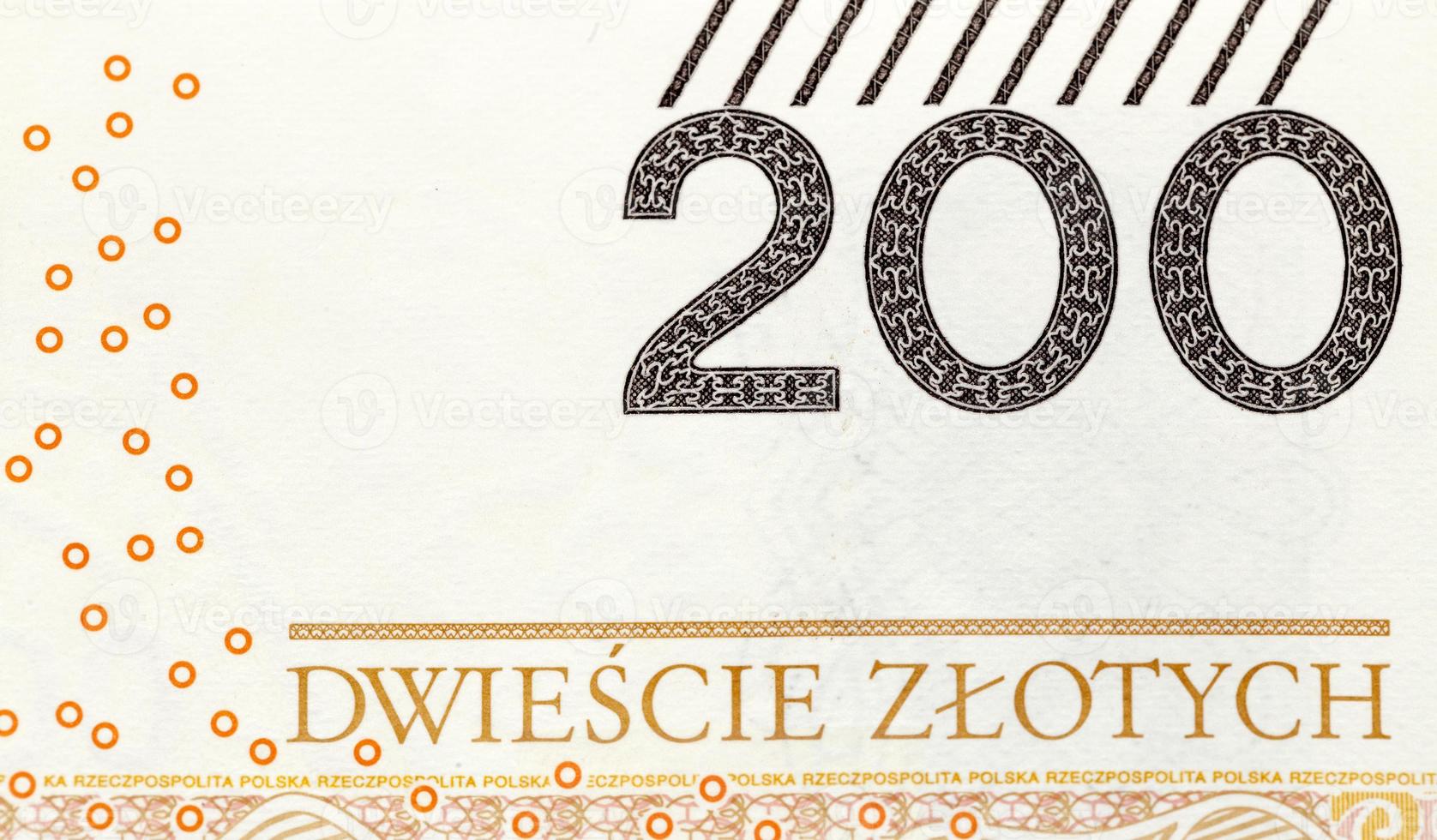 Polish Zloty closeup photo