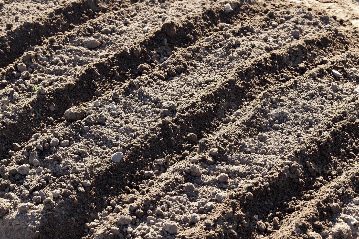 a plowed plot of land for plants photo