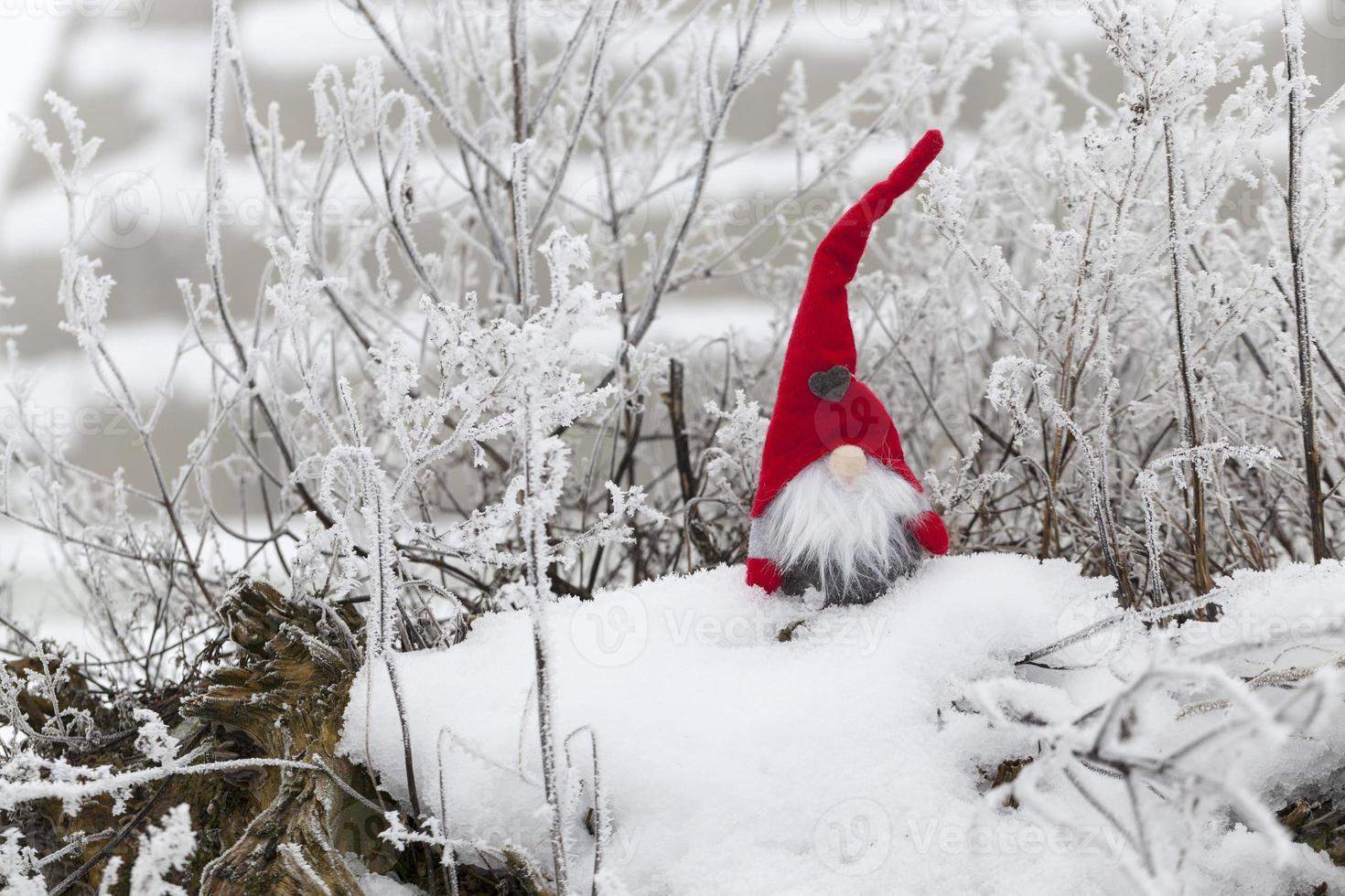 a small toy sitting in the snow in red clothes photo