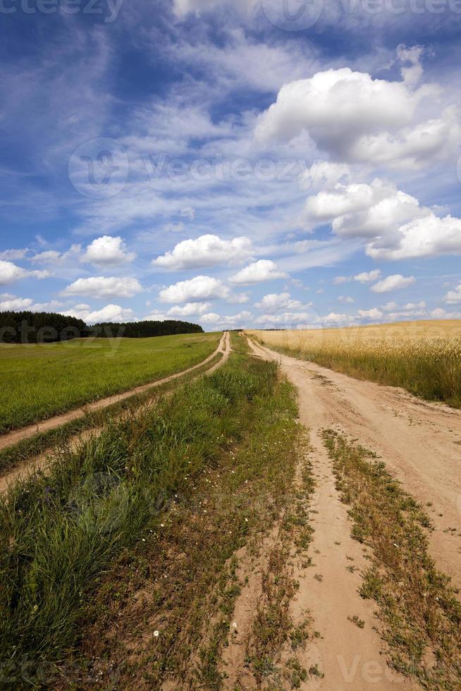 the rural road photo