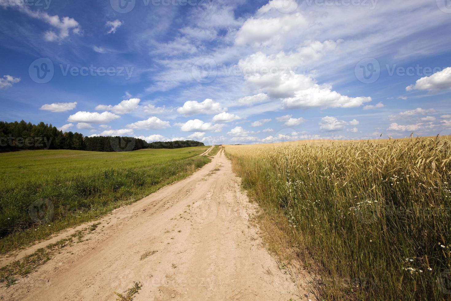 the rural road photo