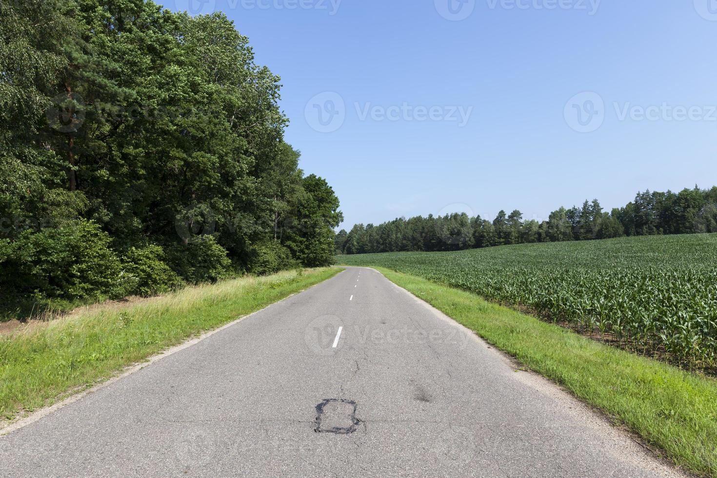 camino pavimentado en el campo foto