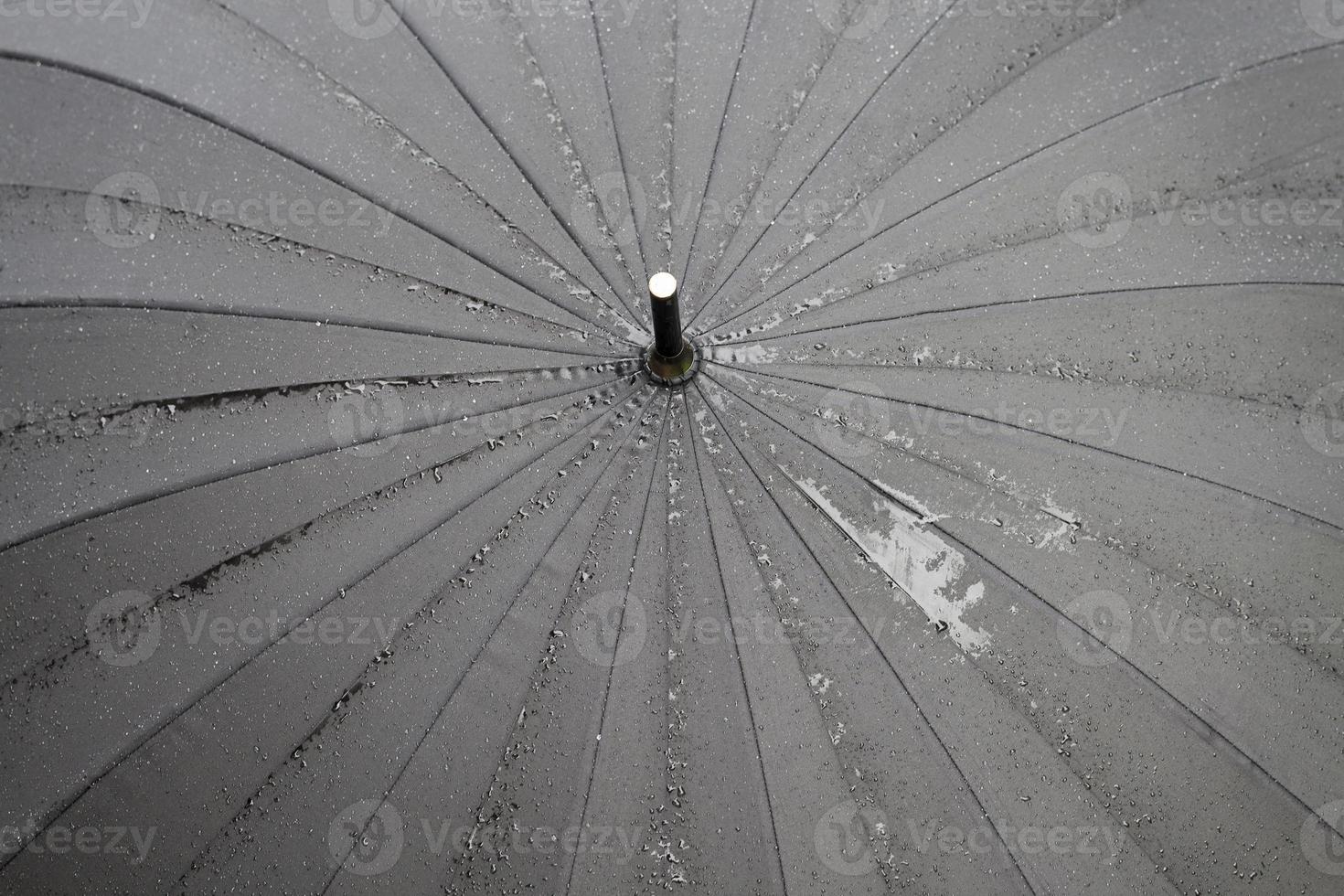 raindrops on the umbrella photo