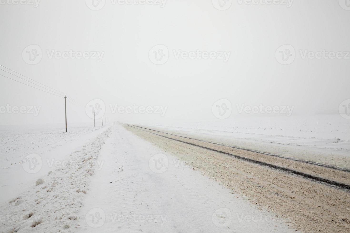 camino en invierno foto