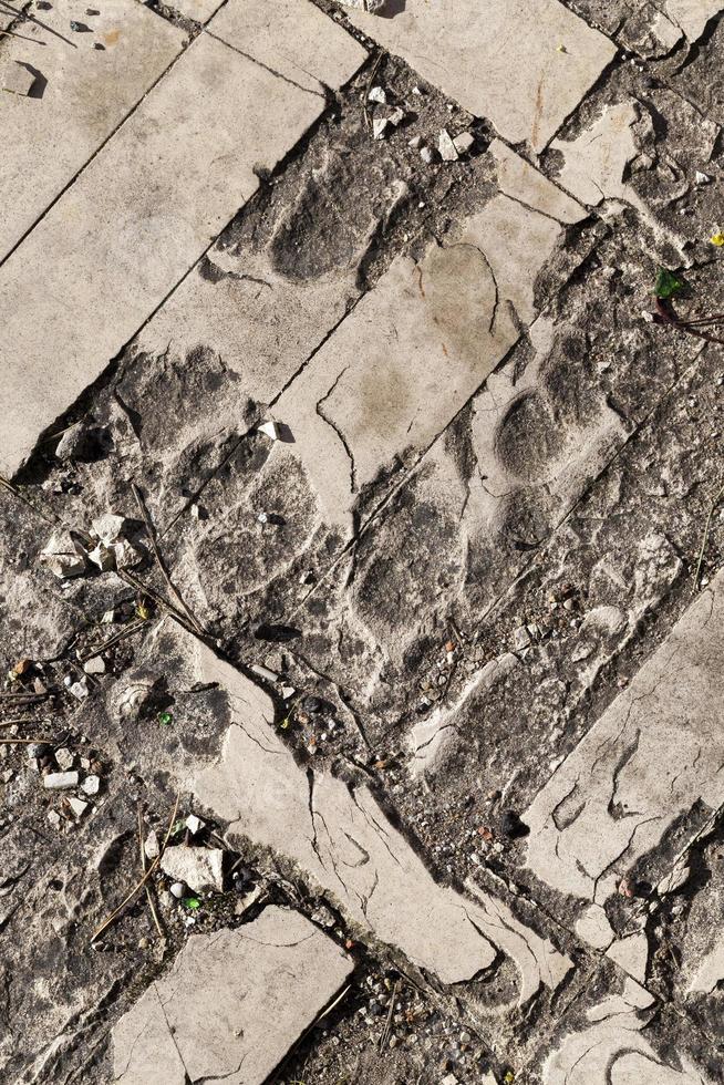 a road made of tiles that collapsed photo