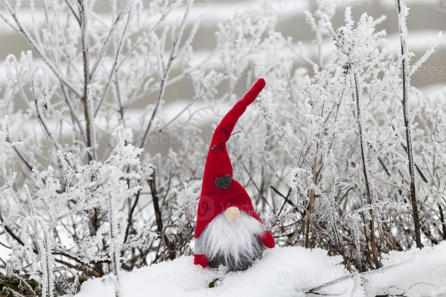 a small toy sitting in the snow in red clothes photo