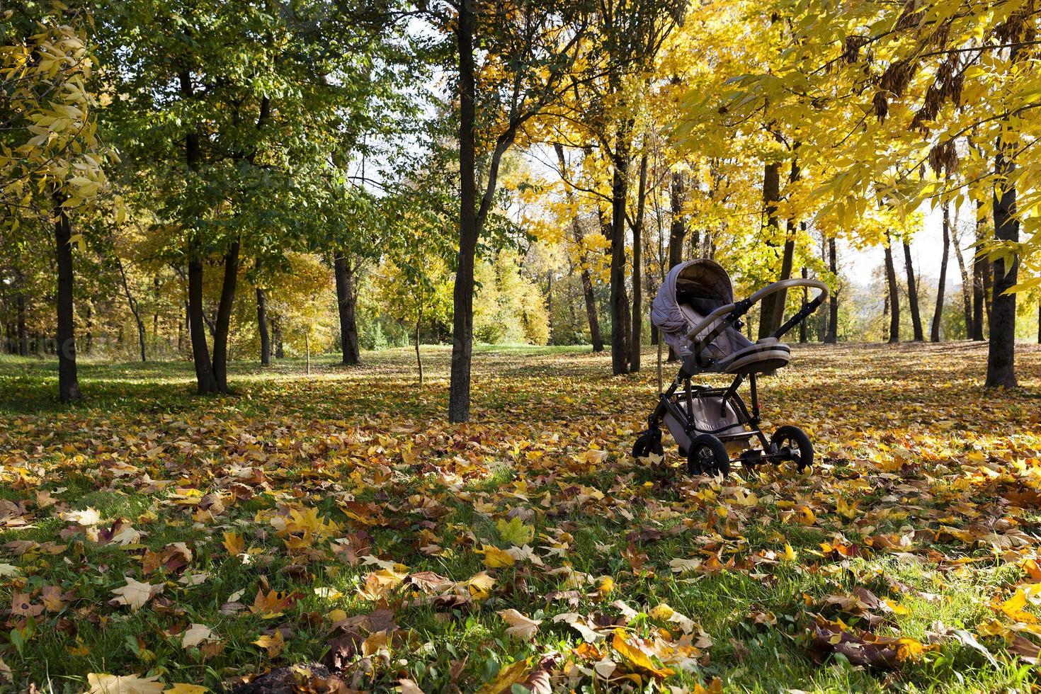 silla de paseo en otoño foto