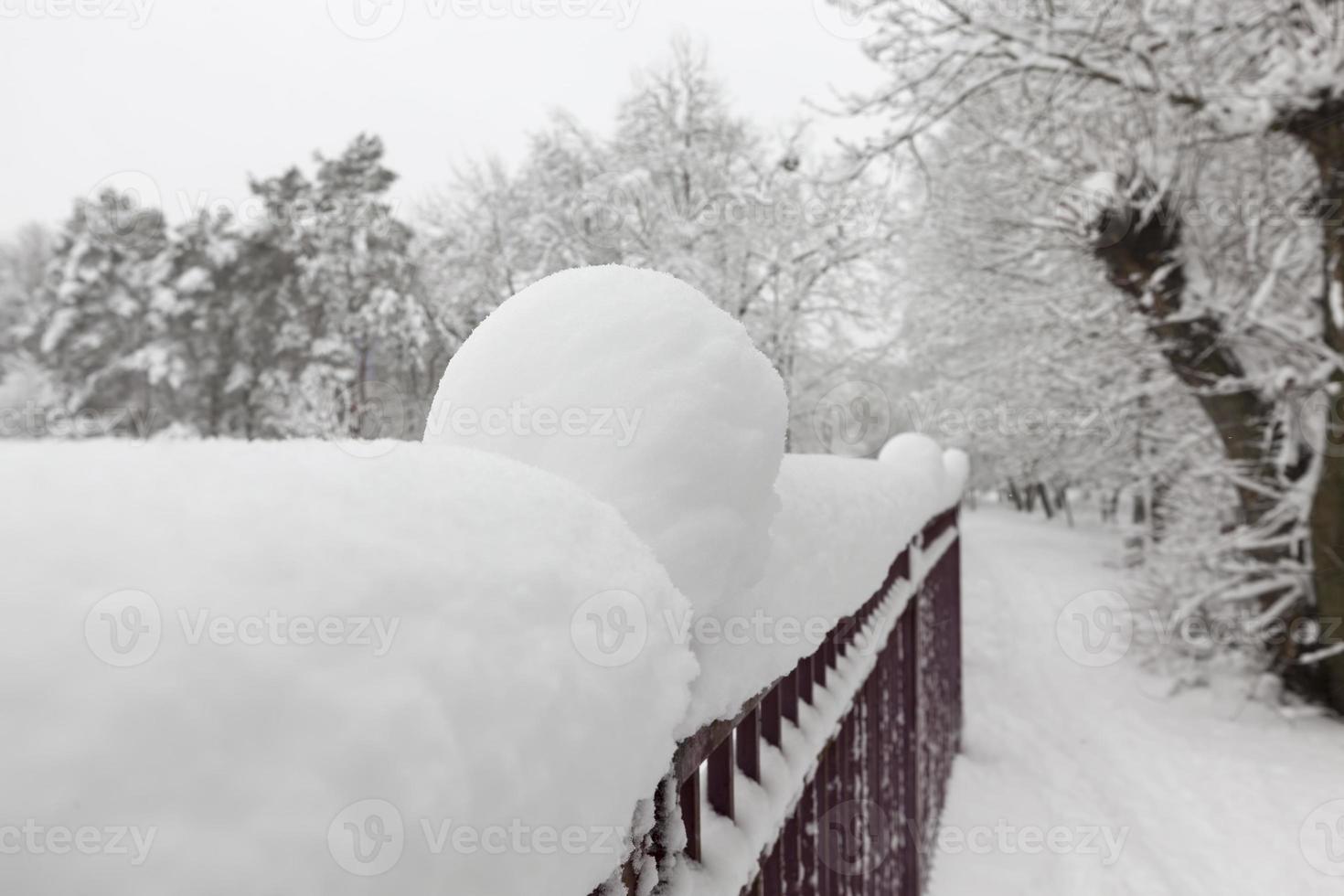 simple metal fence in winter photo