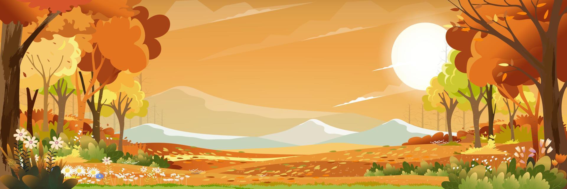 paisaje otoñal bosque maravilloso con tierra de pasto, mediados de otoño natural en follaje naranja, temporada de otoño con hermosa vista panorámica con puesta de sol detrás del árbol del bosque, hojas de arces cayendo en el suelo vector