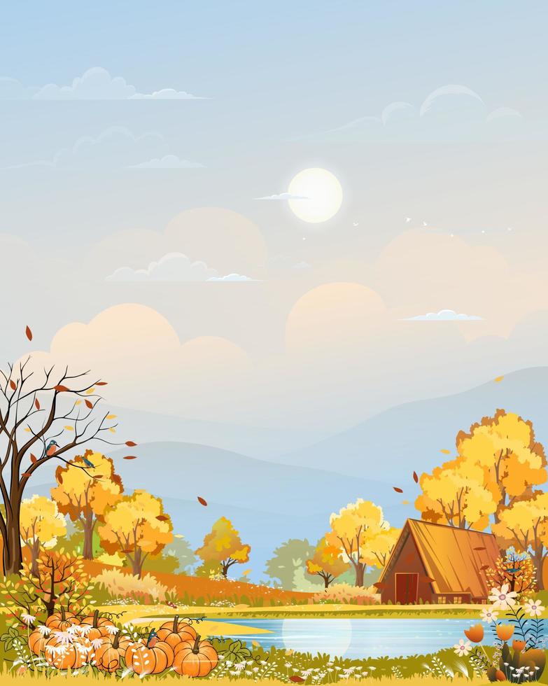 Autumn rural landscape in evening light with sunset, blue and orange sky background,Vector Cartoon fall season countryside with forest tree pumpkin on grass field with sunrise,Backdrop natural banner vector