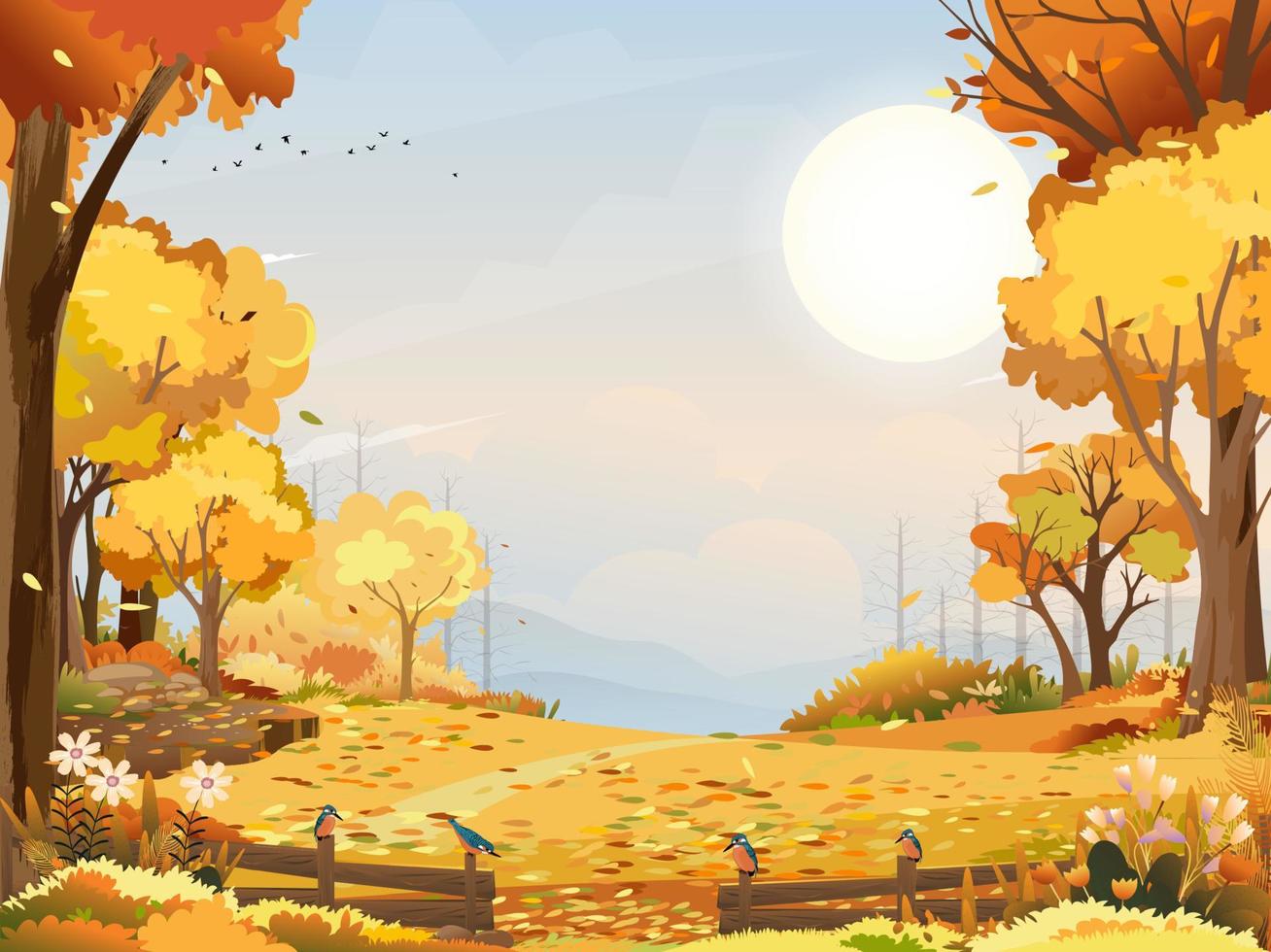 paisaje otoñal bosque maravilloso con tierra de pasto, mediados de otoño natural en follaje naranja, temporada de otoño con hermosa vista panorámica con puesta de sol detrás de la montaña y hojas de arces cayendo de los árboles vector