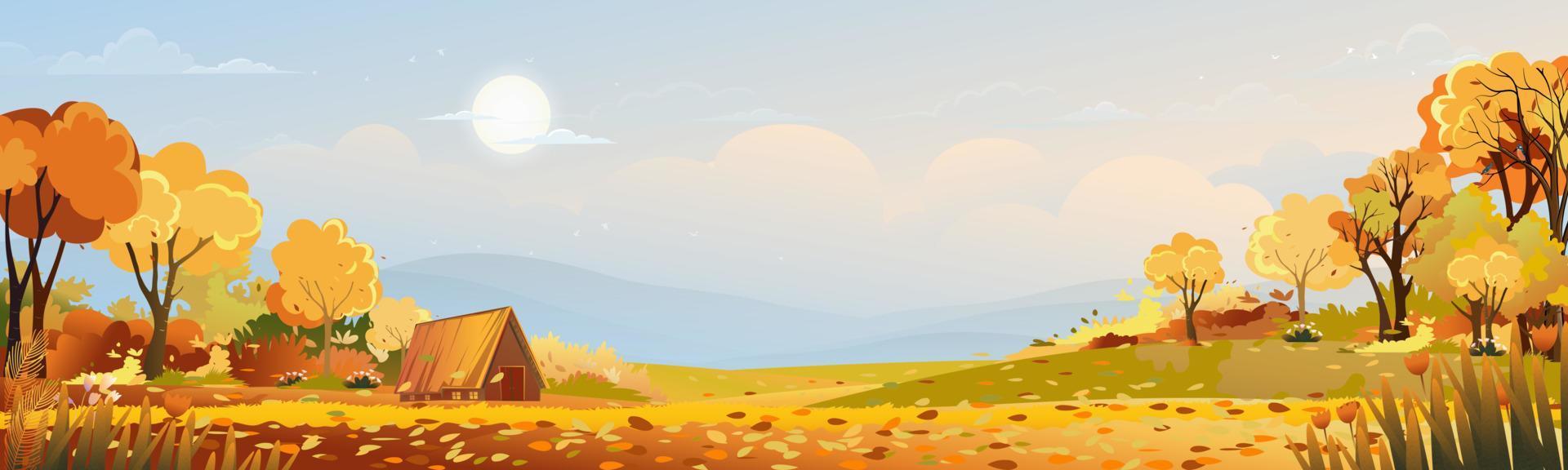 Autumn rural landscape in evening light with sunset, blue and orange sky background,Vector Cartoon fall season at countryside with forest tree and grass field with sunrise,Backdrop natural vector