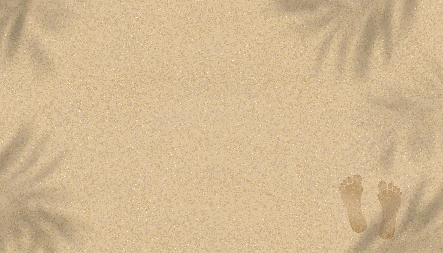 Sandy Beach Texture background with Palm leaf shadow and Footprints of human feet, Vector illustration Backdrop Brown Beach sand dune with barefoot for Summer banner background.
