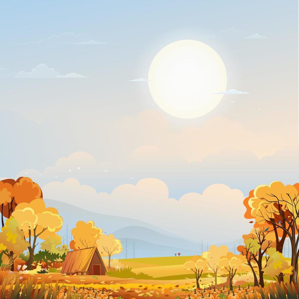 paisaje rural otoñal a la luz de la noche con puesta de sol, fondo de cielo azul y naranja, campo de temporada de otoño de dibujos animados vectoriales con calabaza de árbol forestal en campo de hierba con amanecer, festival de cosecha de otoño vector