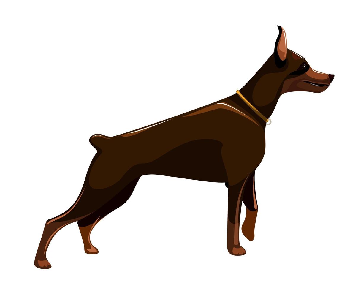 imagen vectorial de un perro en una postura antes de un ataque vector