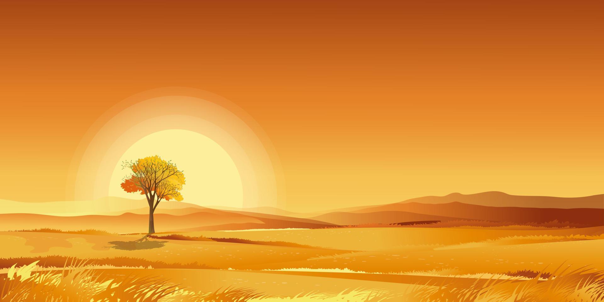 Sunset orange sky,Autumn rural landscape in farm fields with  grass land on mountain, VectorCartoon fall season in countryside on white background for text,Beautiful natural for thanksgiving banner vector