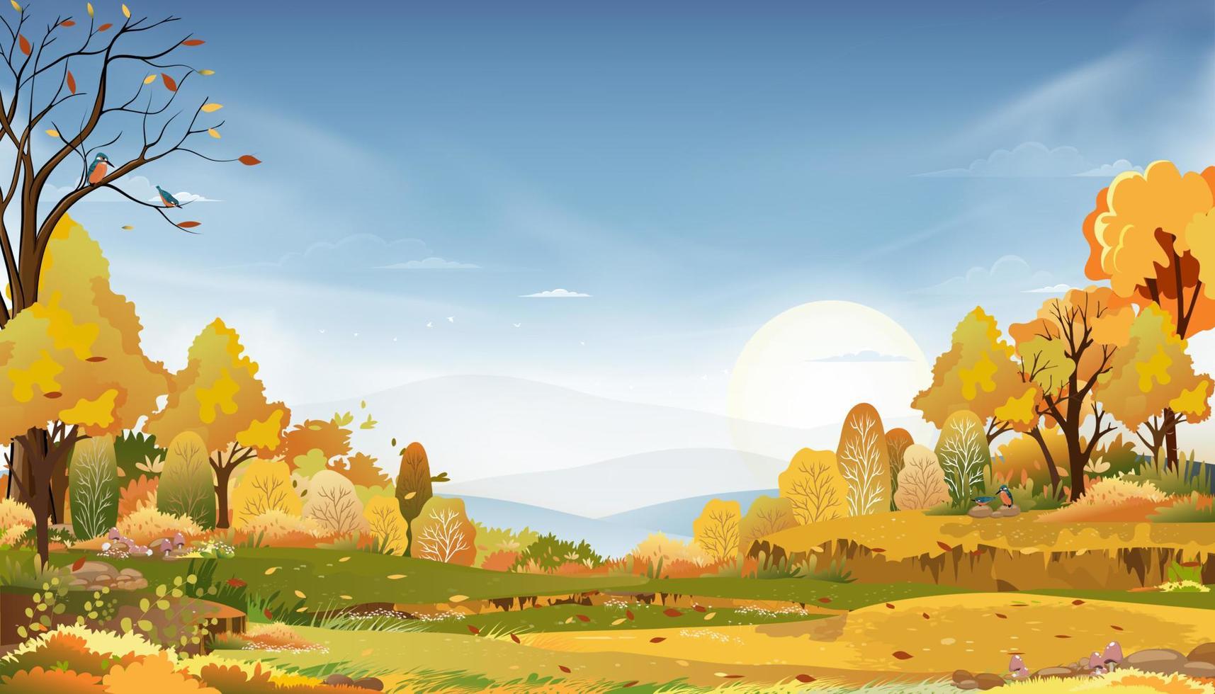 Autumn rural landscape in evening light with sunset, blue and pink sky background,Vector Cartoon fall season at countryside with forest tree and grass field with sunrise,Backdrop banner for Autumnal vector