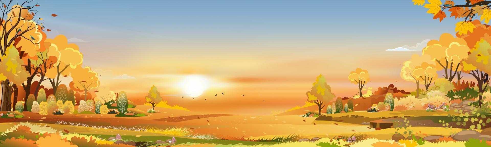 Autumn rural landscape in evening light with sunset, blue and orange sky background,Vector Cartoon fall season at countryside with forest tree and grass field with sunrise,Backdrop natural banner vector