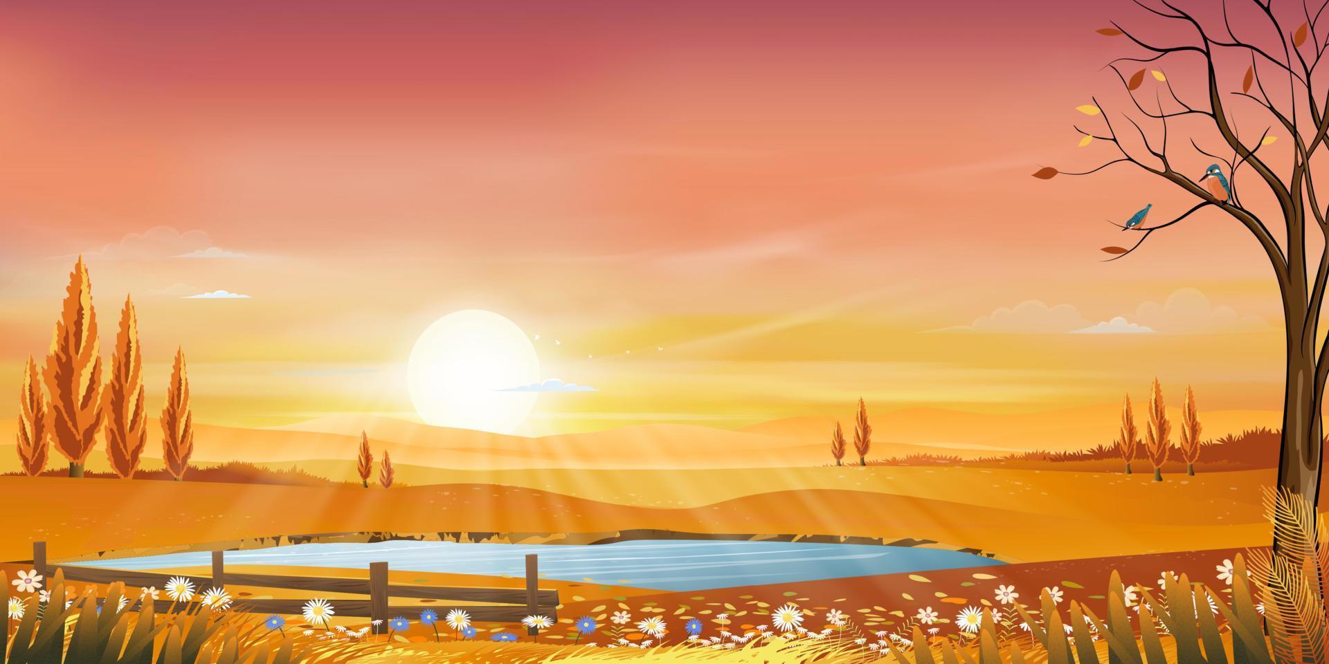 Autumn rural landscape in evening light with sunset, yellow,pink,orange sky background,Vector Cartoon fall season at countryside with forest tree and grass field with sunrise,Backdrop natural banner vector