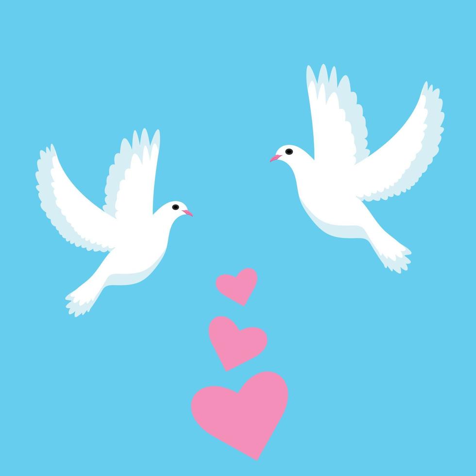 two doves fly towards each other vector