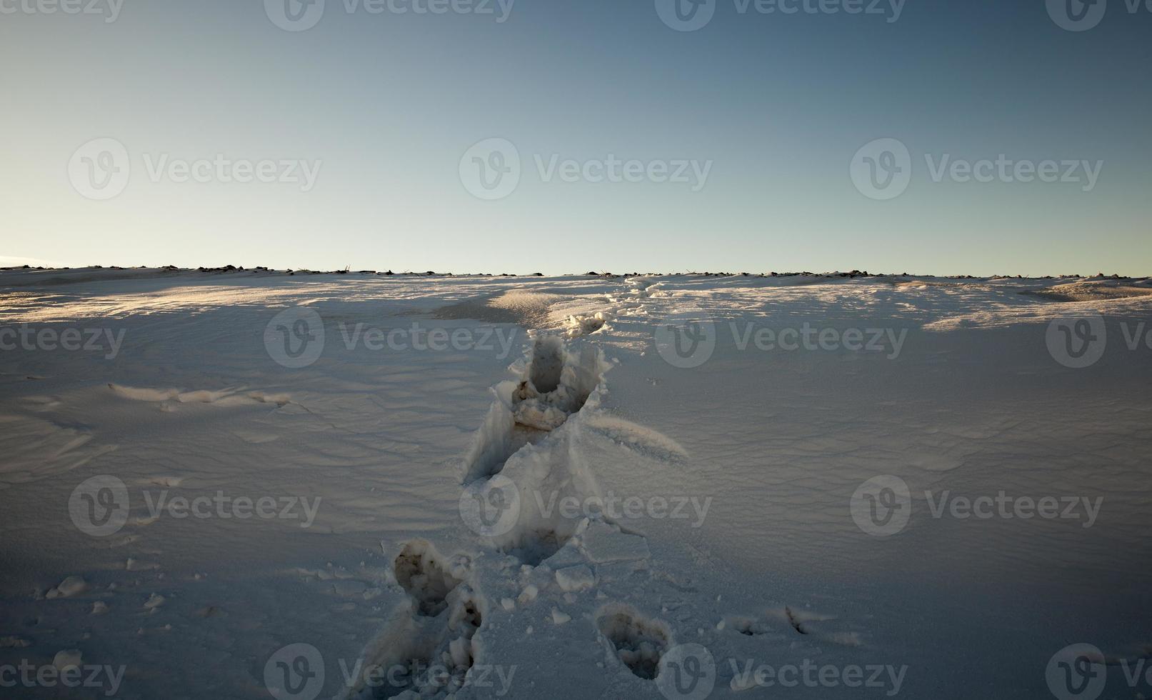 tiempo de invierno, nieve foto