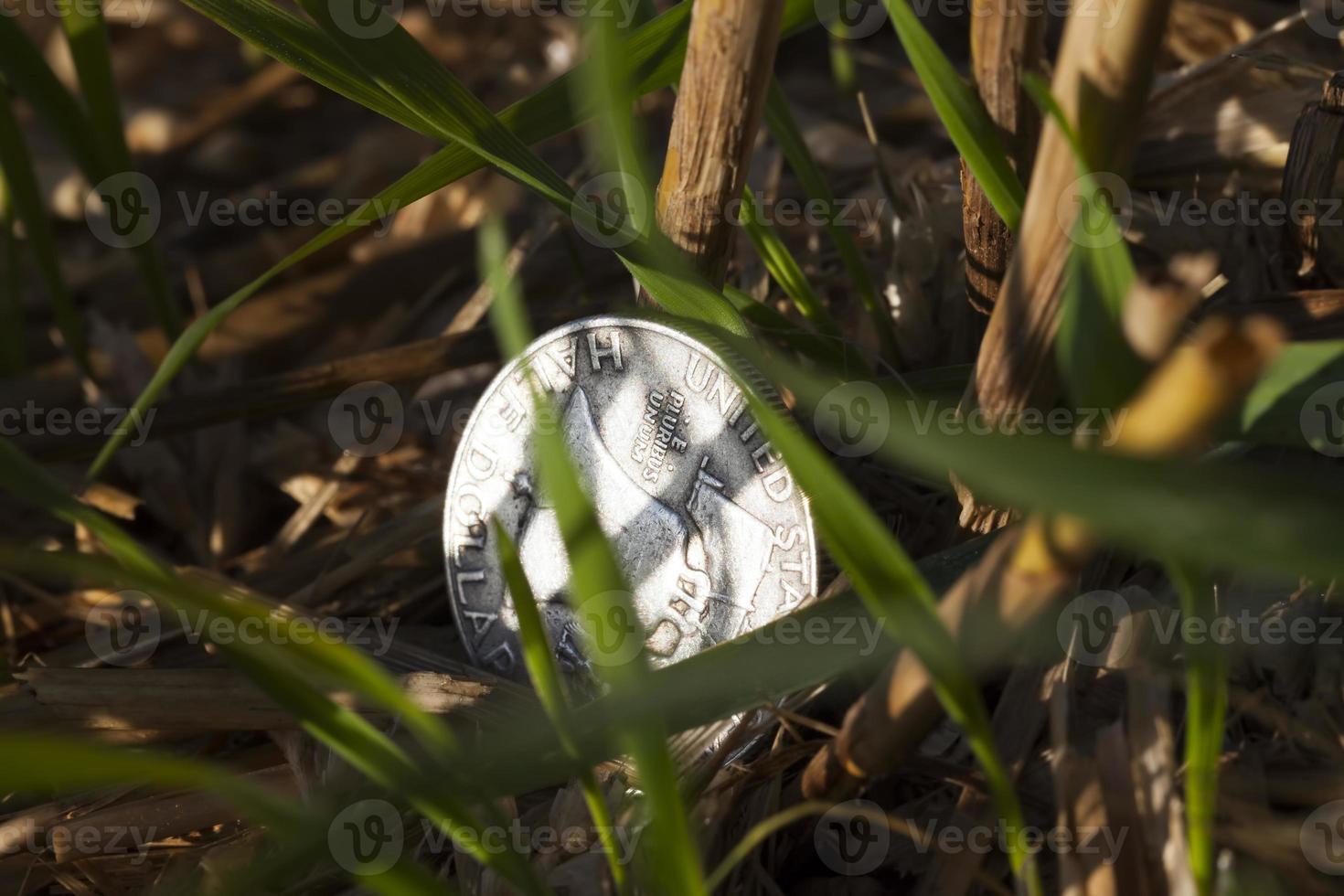 a 50 cent silver coin photo