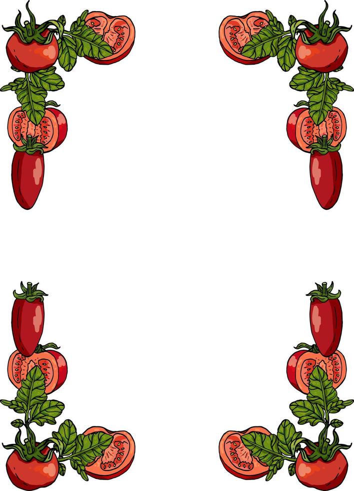 Rectangular frame made of tomatoes, tomato leaves and tomato slices. Decorative element with fresh vegetables on white background for your design vector