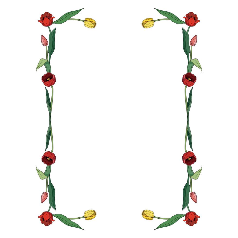 marco rectangular hecho de tulipanes. elemento decorativo con flores sobre fondo blanco para su diseño vector