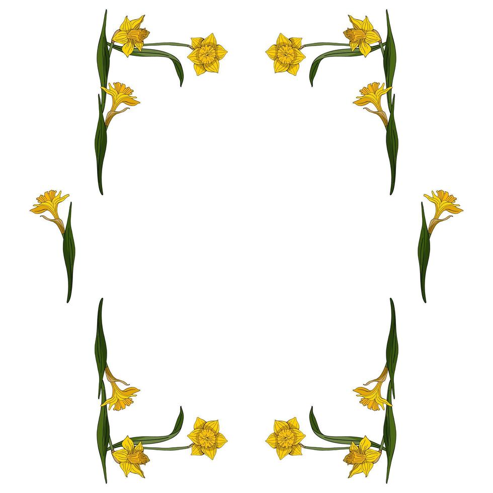 Rectangular frame made of yellow daffodils. Decorative element with flowers on white background for your design vector