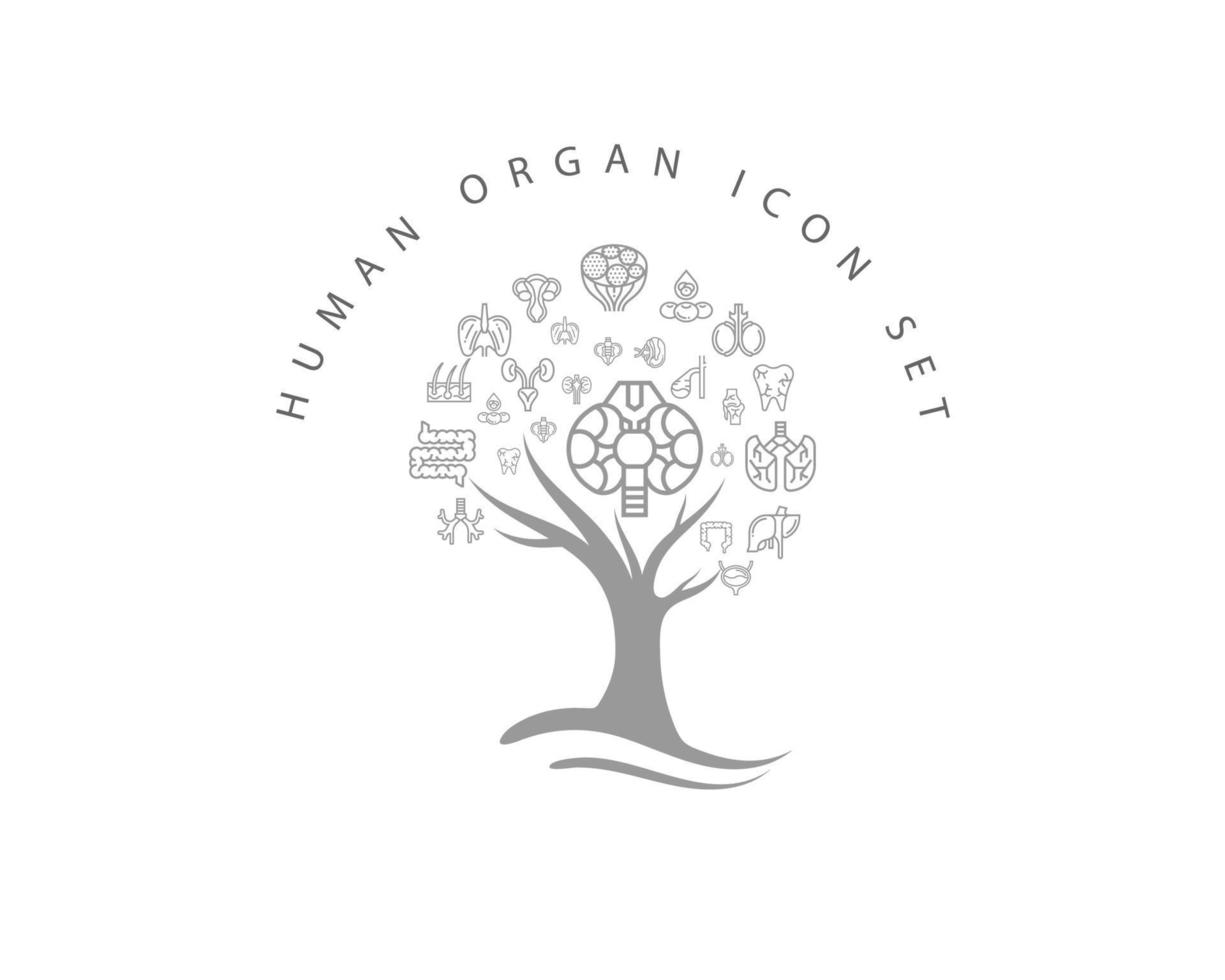 Human organ icon set on white background vector