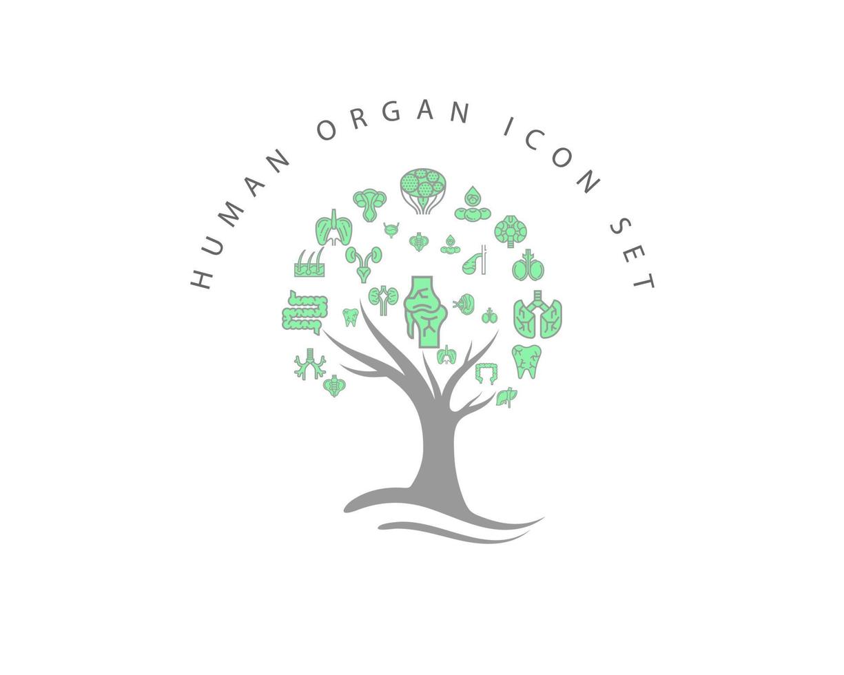 Human organ icon set on white background vector