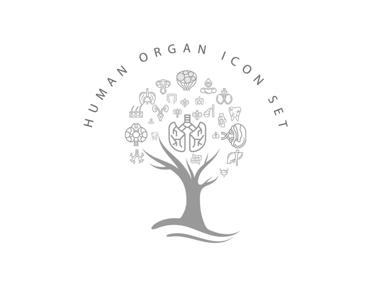 Human organ icon set on white background vector