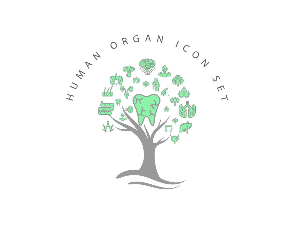 Human organ icon set on white background vector