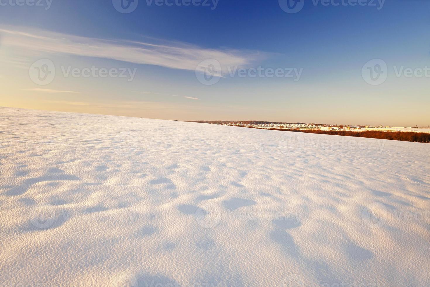 snow-covered fields in winter photo