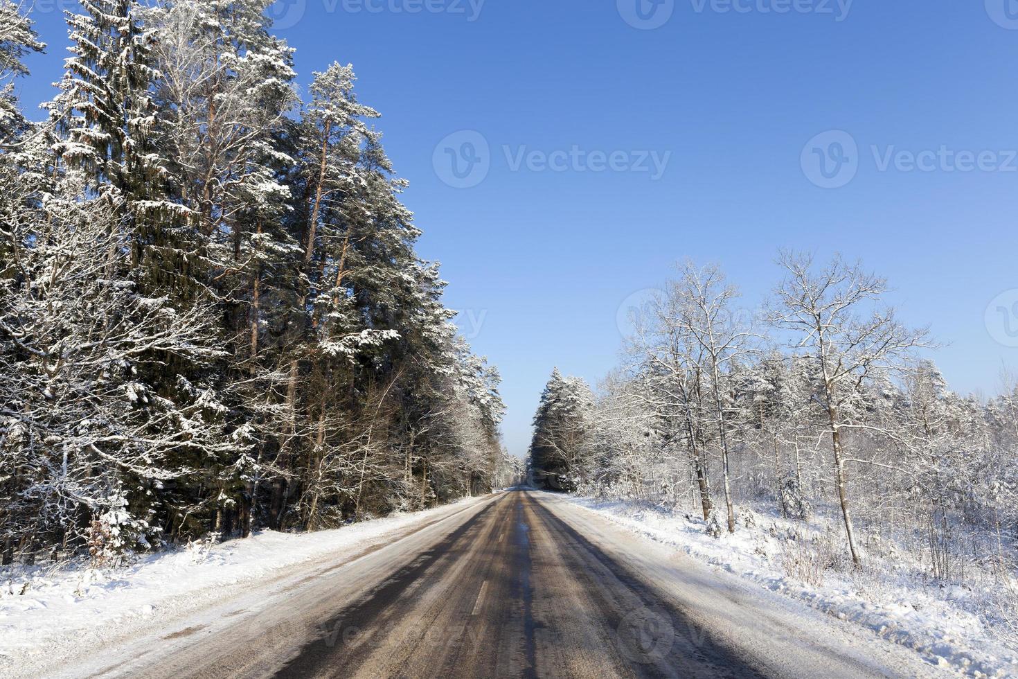 Road in winter photo