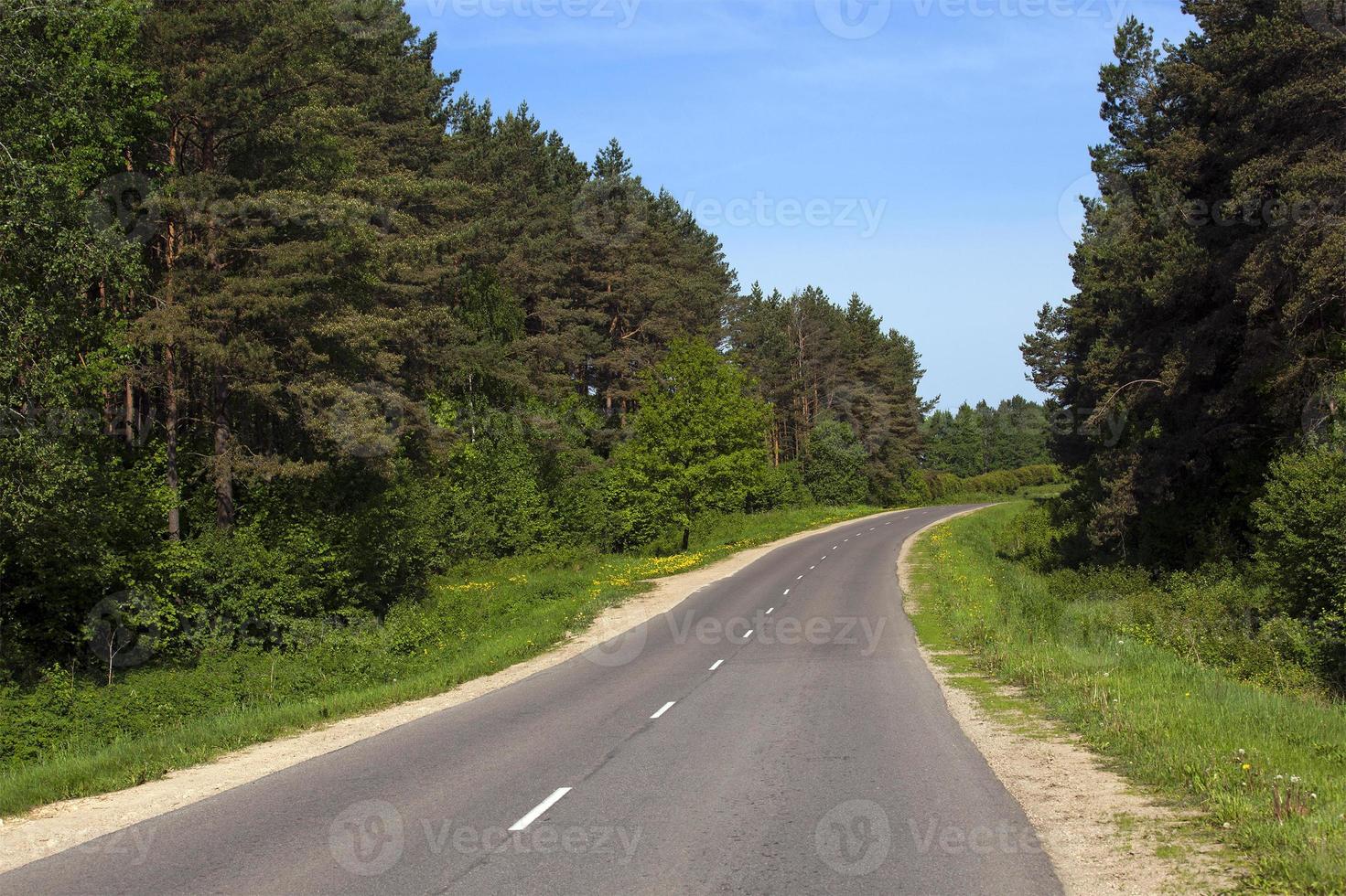 el camino pequeño - el camino pequeño asfaltado que pasa por el bosque. primavera foto