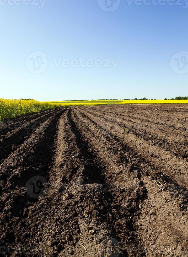 a plowed field photo