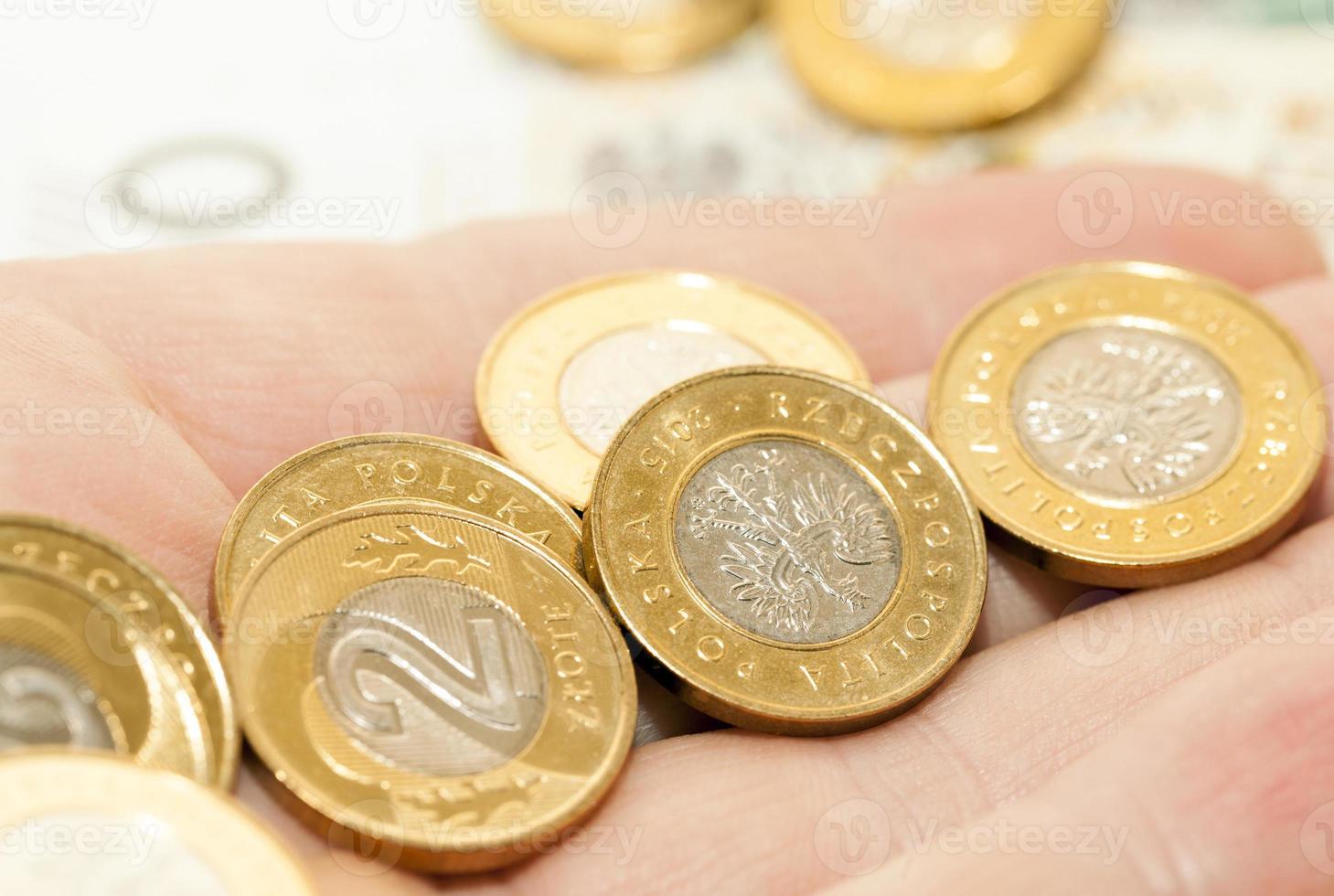 polish-zloty-close-up-9451470-stock-photo-at-vecteezy