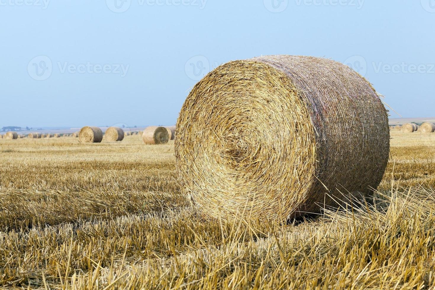 stack of straw in the field 9451500 Stock Photo at Vecteezy