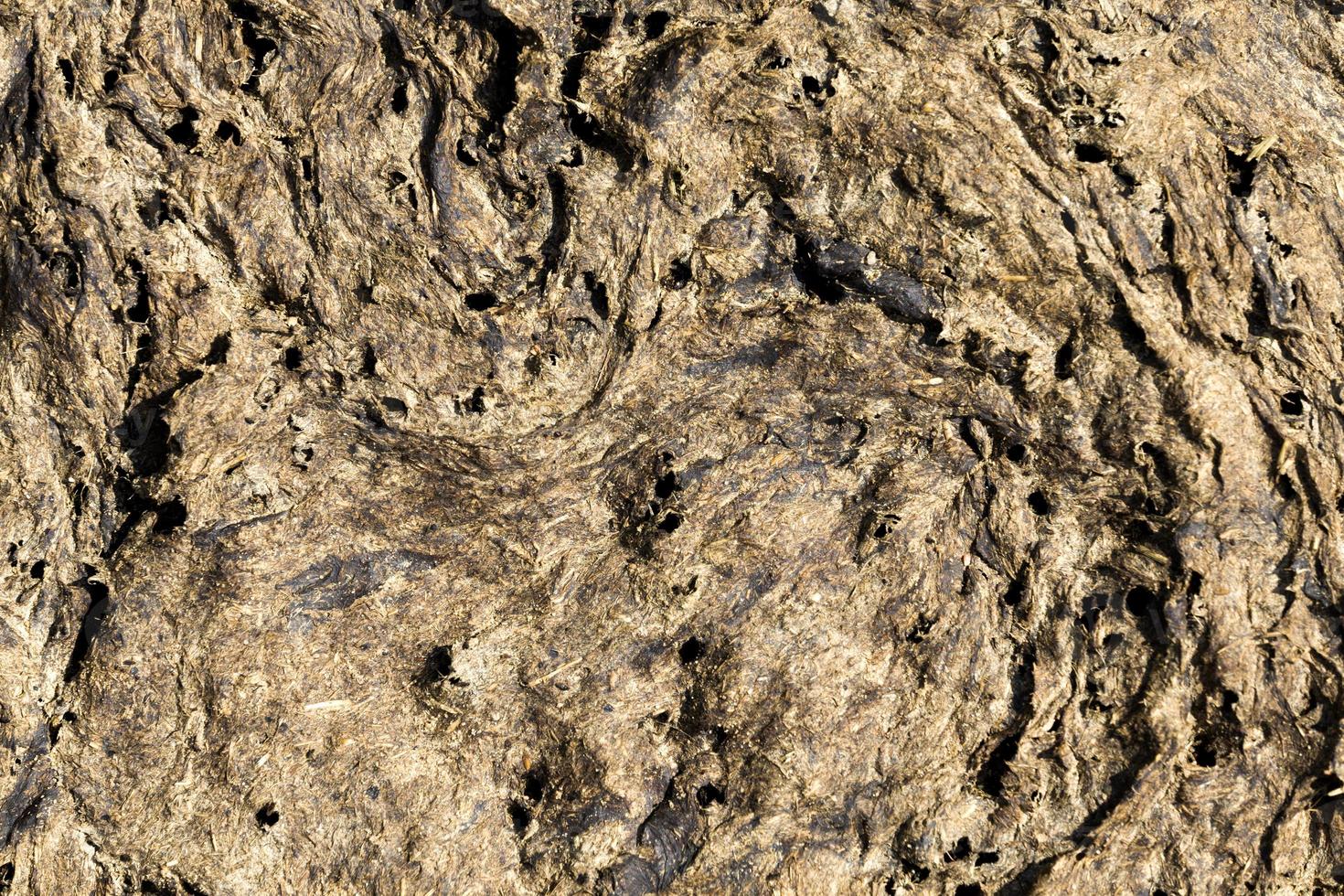 dry manure that is used to fertilize the territory of a rural field photo