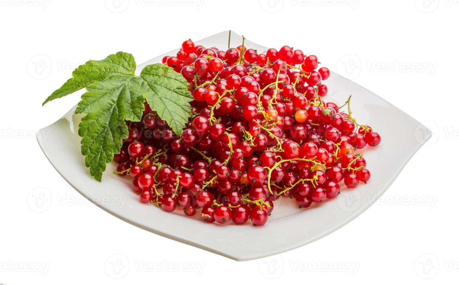 Red currant on the plate and white background photo