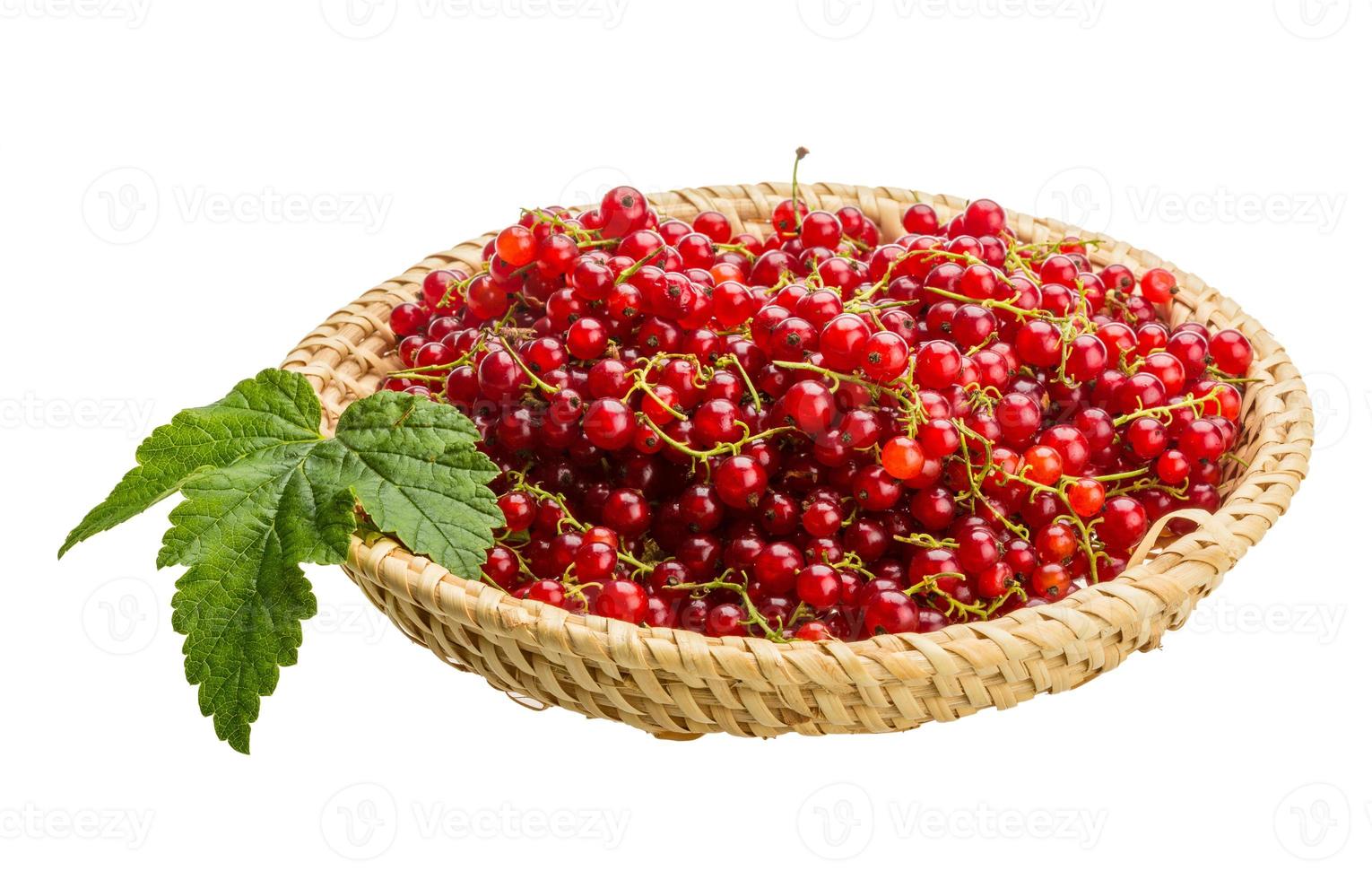 Red currant on wooden plate and white background photo