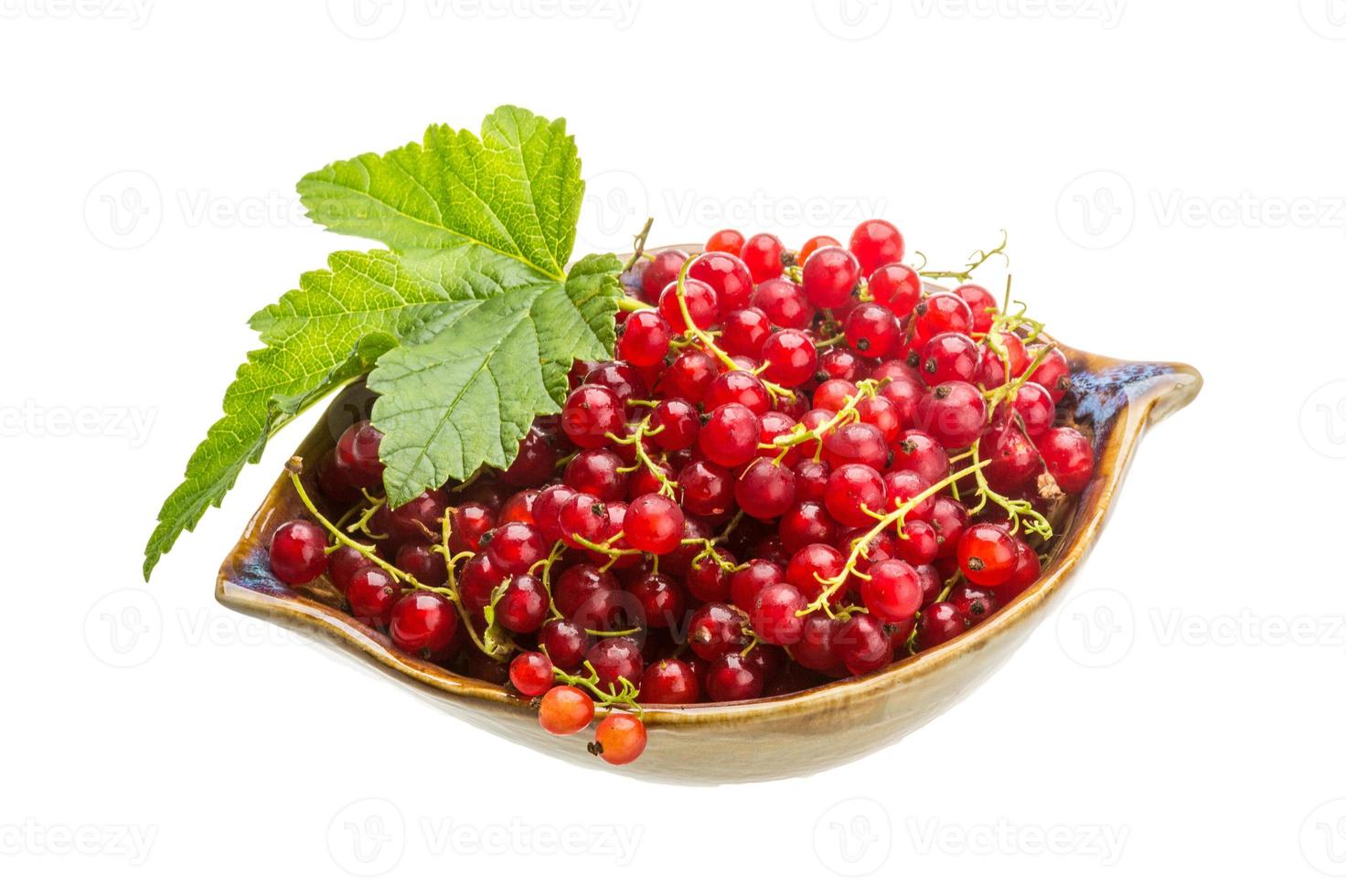 Red currant in a bowl on white background photo